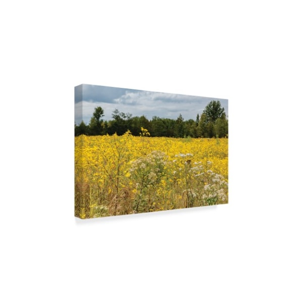 Kurt Shaffer 'Monarch In The Meadow' Canvas Art,16x24